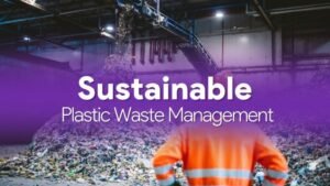 Sustainable Plastic Waste Management in India: The Role of Government and Waste Management Companies in Extended Producer Responsibility (EPR)