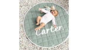 Untitled-design-2024-12-20T110448.165