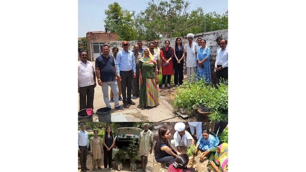 PNN-2025-05-29T122504860