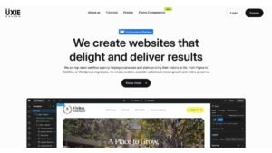 Webflow-Development-Agency