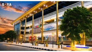 PNN-1-2